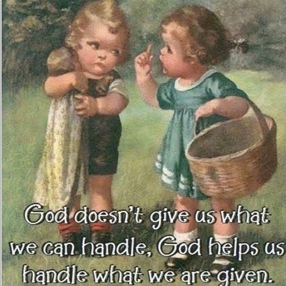 Meet your Posher, Kea - Picture 6 of 6